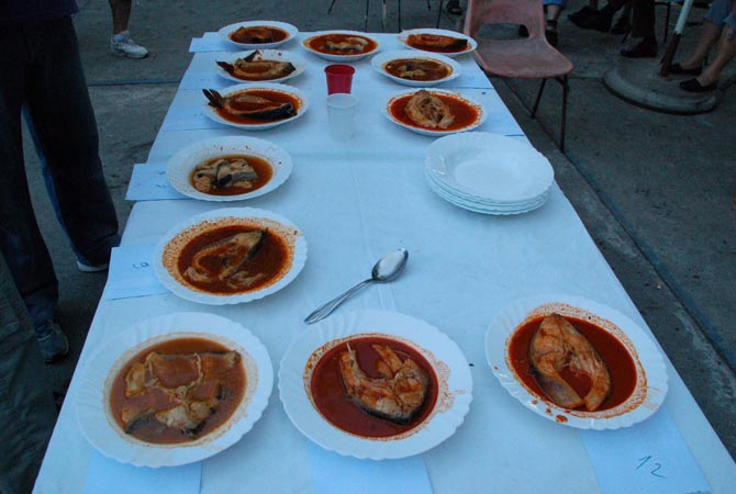 Bogracsos 2015. július 11.